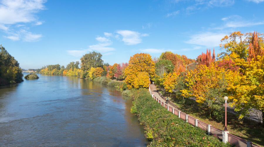 bike path in Eugene, Oregon