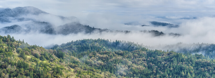 green hills with low clouds