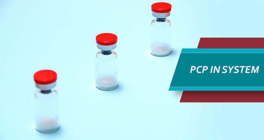 How Long Does PCP Stay In One’s System? Phencyclidine Drug Test