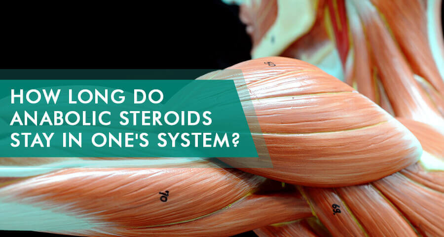 How Long Do Anabolic Steroids Stay In Your Body
