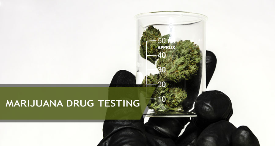 Marijuana Drug Test