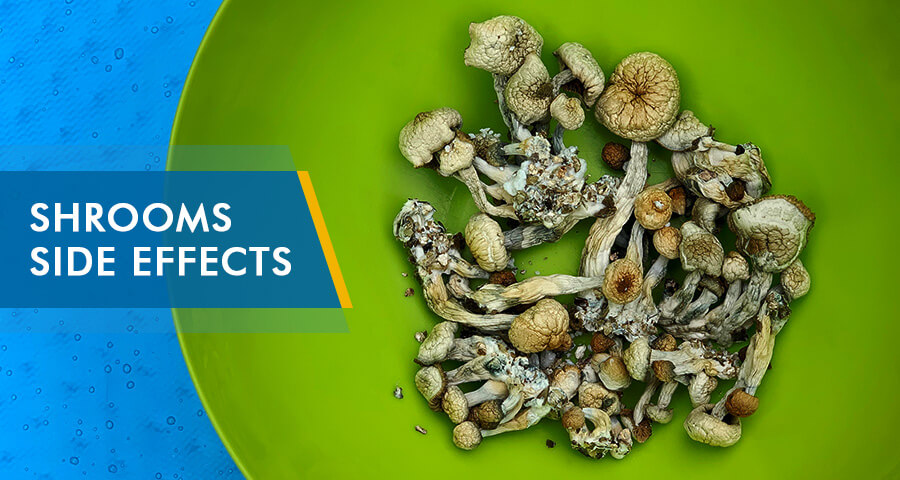 Shrooms - The Long-term Side Effects of Mushrooms Addiction