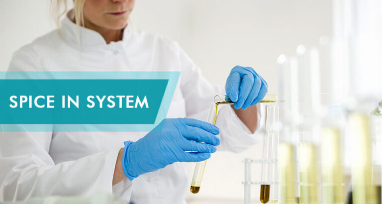 How Long Can Spice Stay In Your System