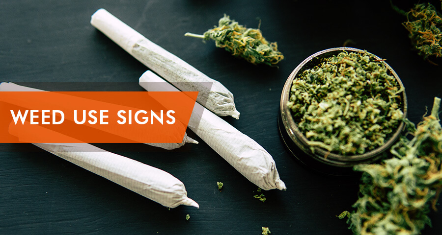 signs of weed use
