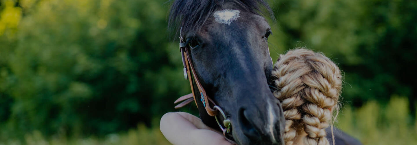 LGBTQ flags on building, horizontal