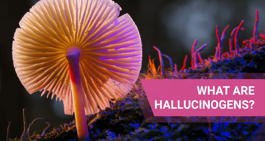 hallucinogens abuse and addiction