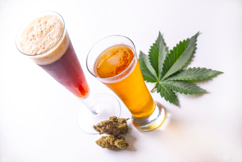cannabis and alcoholic drink