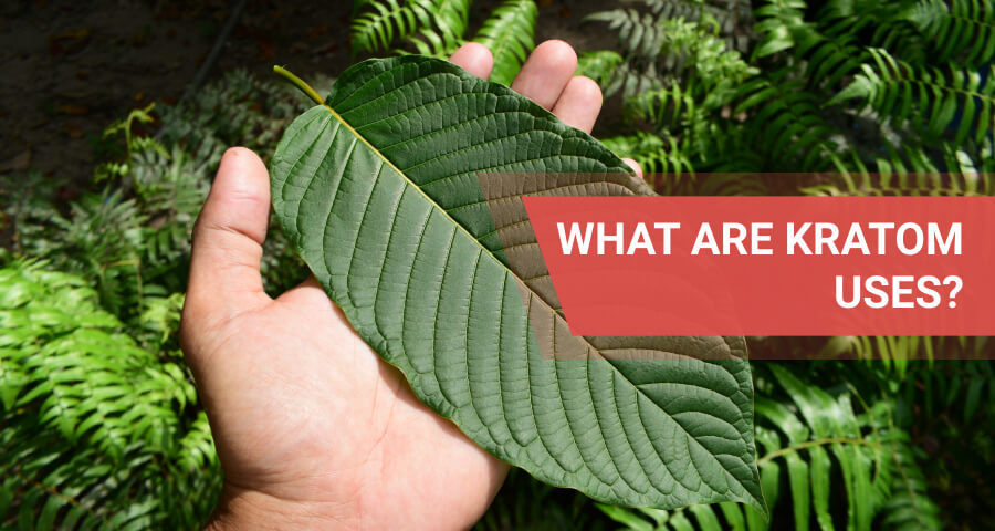 kratom uses and MOA