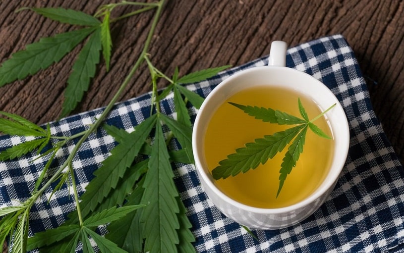 Tea with cannabis leaves.