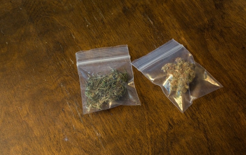 Two bags of marijuana hybrids.
