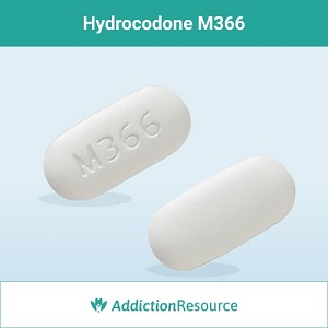 Hydrocodone M366 pill.