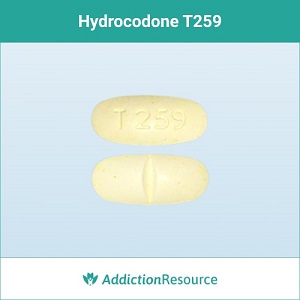 Hydrocodone T259 pill.