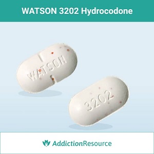 WATSON 3202 Hydrocodone pills.