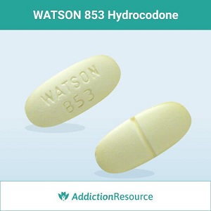 WATSON 853 Hydrocodone pills.