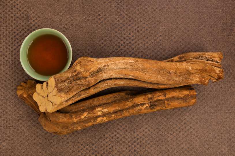 Ayahuasca plant and tea standing together on the brown surface.