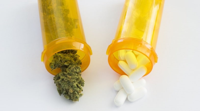 Medical cannabis and Cymbalta in bottles.
