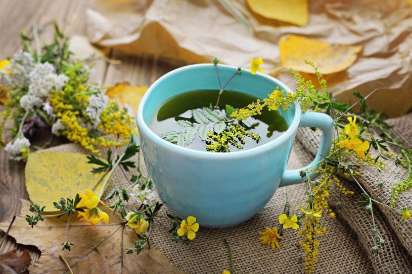 Healthy natural herbal tea