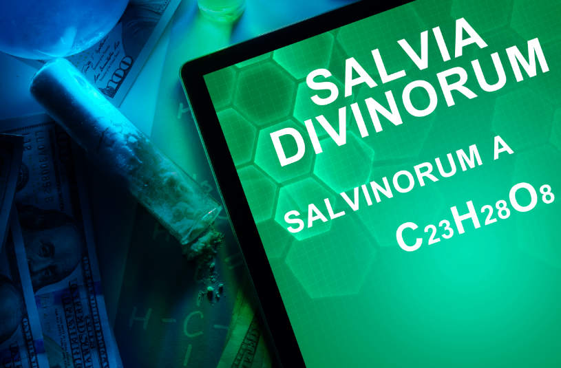 Salvia Divinorum is written on the green background.