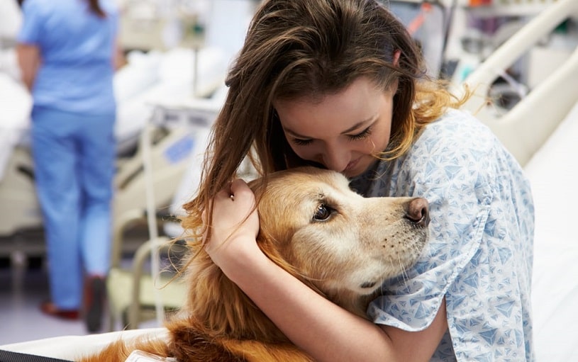 Woman hugs a dog as a part of pet therapy.