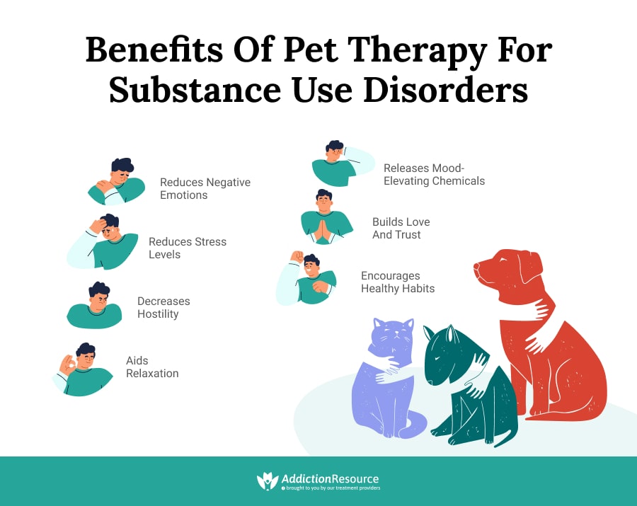 Benefits of Pet Therapy for Substance Use Disorders.