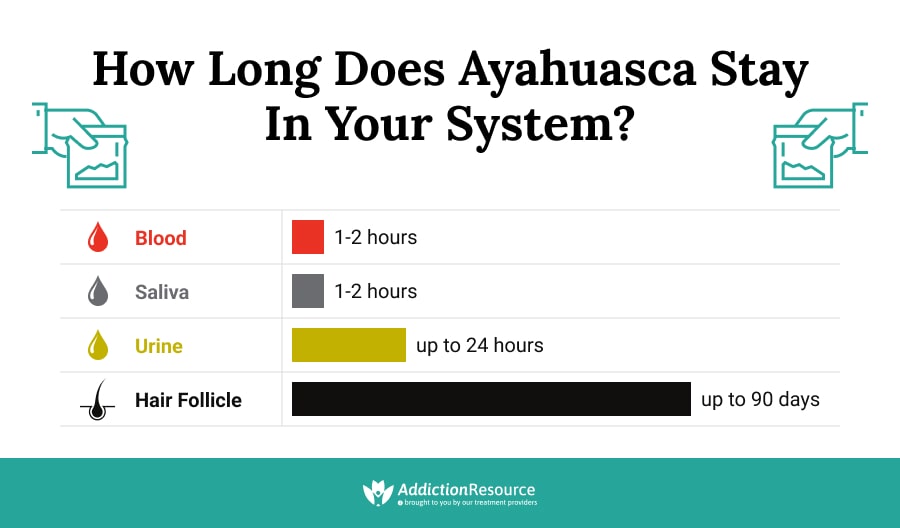 How Long Does Ayahuasca Stay in Your System?