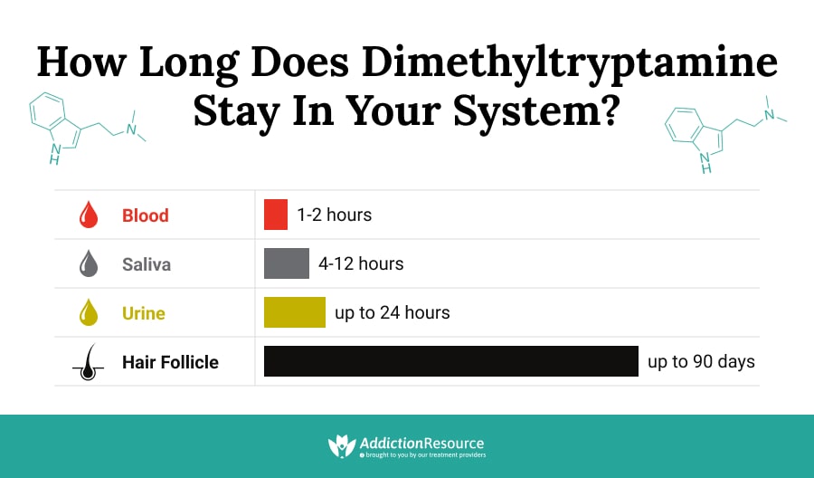How Long Does Dimethyltryptamine Stay in Your System?