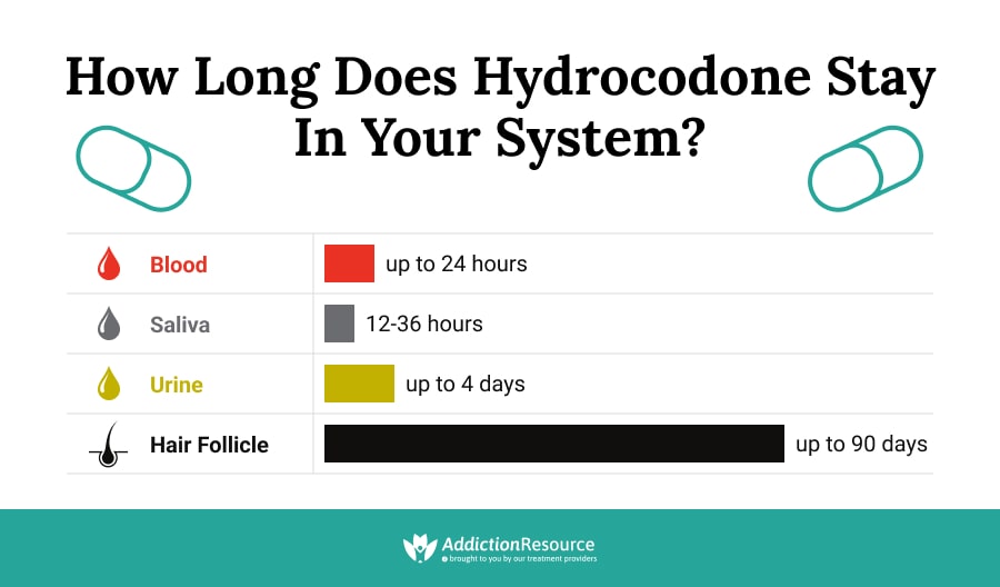 How Long Does Hydrocodone Stay in Your System?