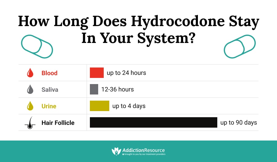 How Long Does Hydrocodone Stay In System? Detection Times