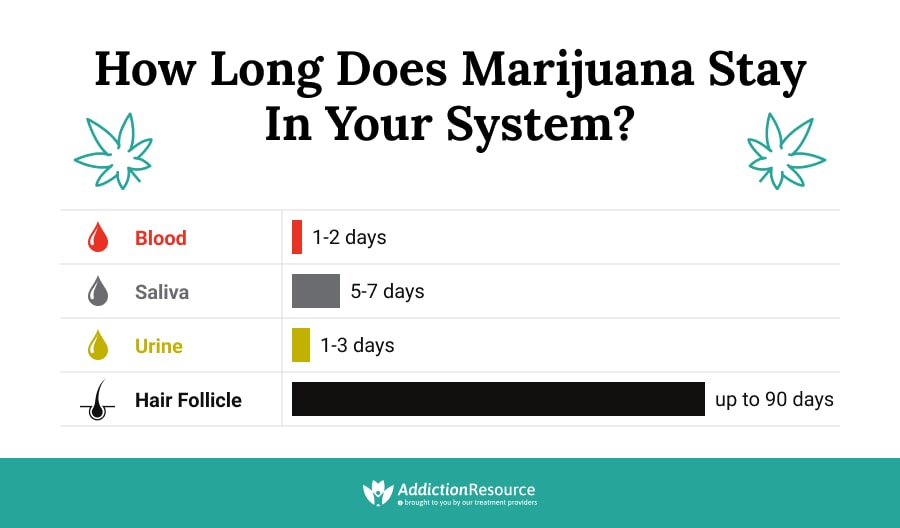 How Long Does Marijuana Stay In Your System  Min 