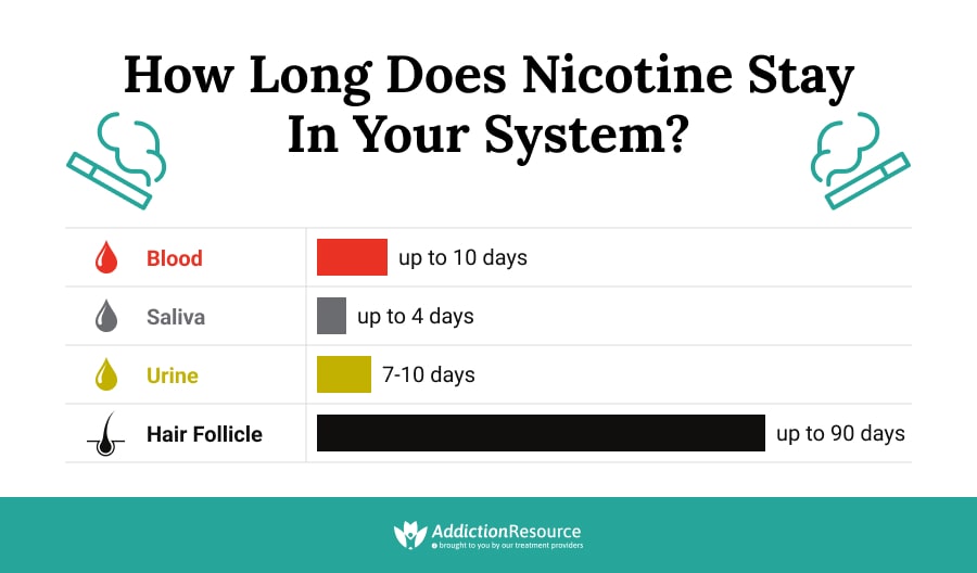 How Long Does Nicotine Stay In Your Body Recovery Ranger