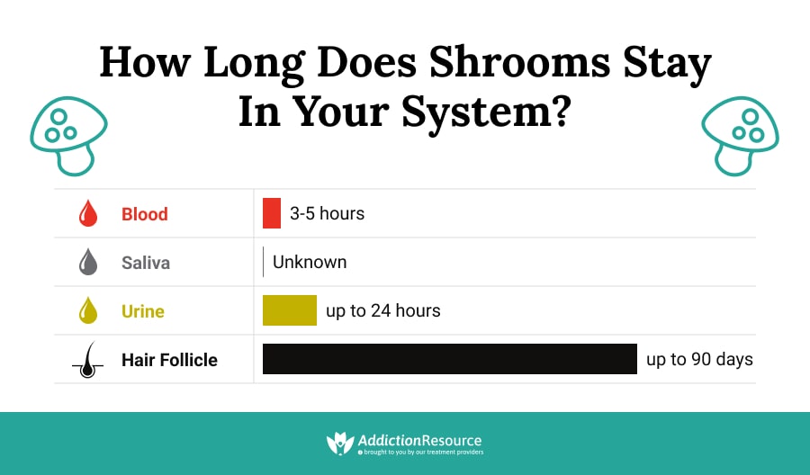 How Long Does Shrooms Stay in Your System?