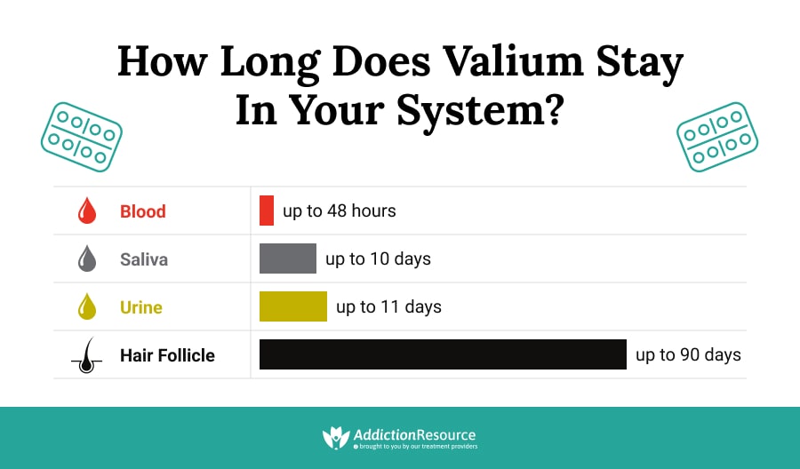 valium half life calculator