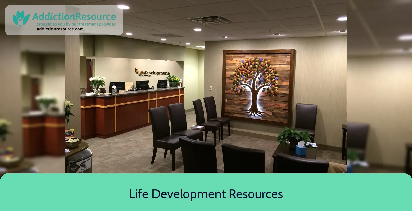 Life Development Resources – Lakeville, Minnesota