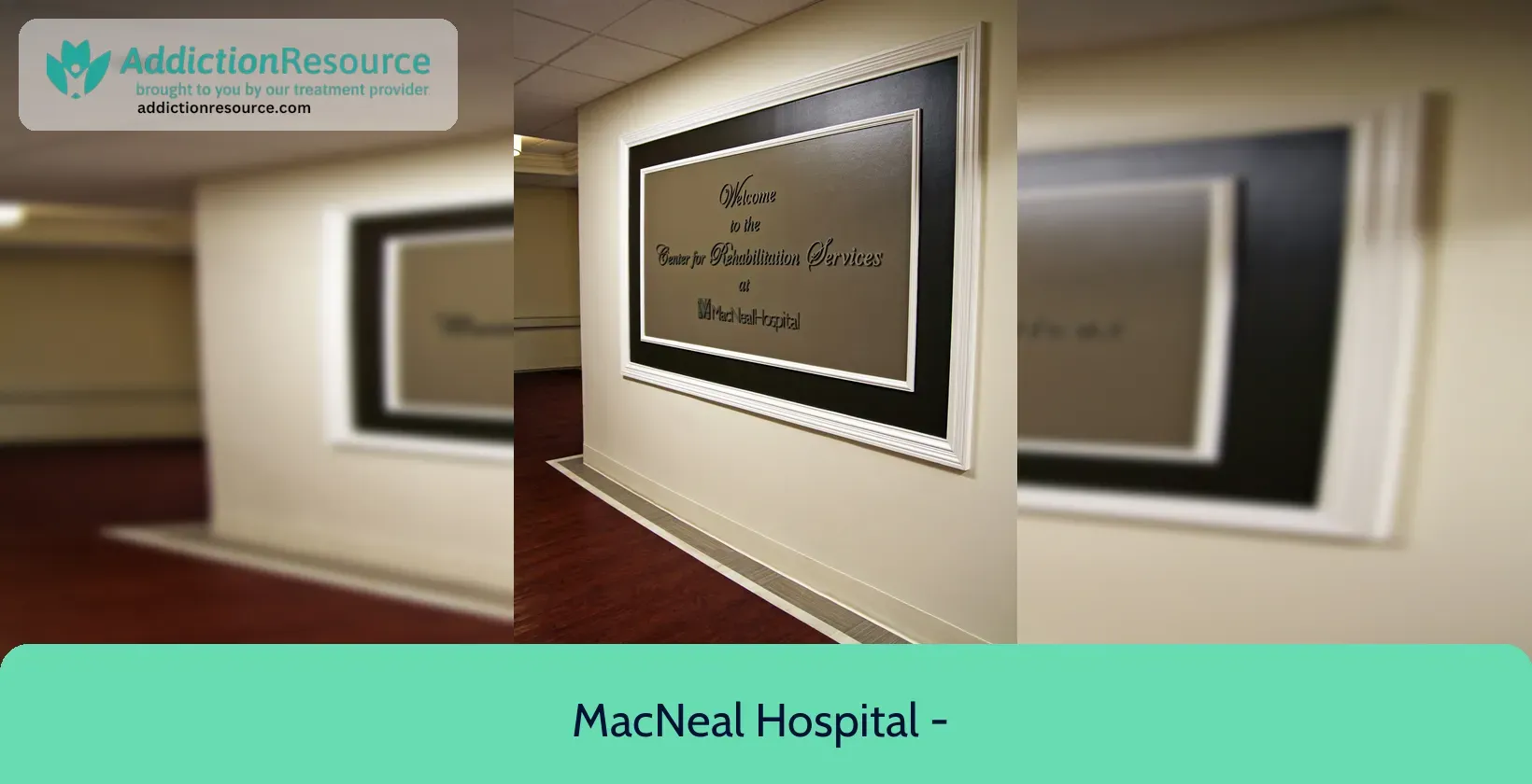 Macneal Hospital - Behavioral Health Services - Berwyn, Illinois 