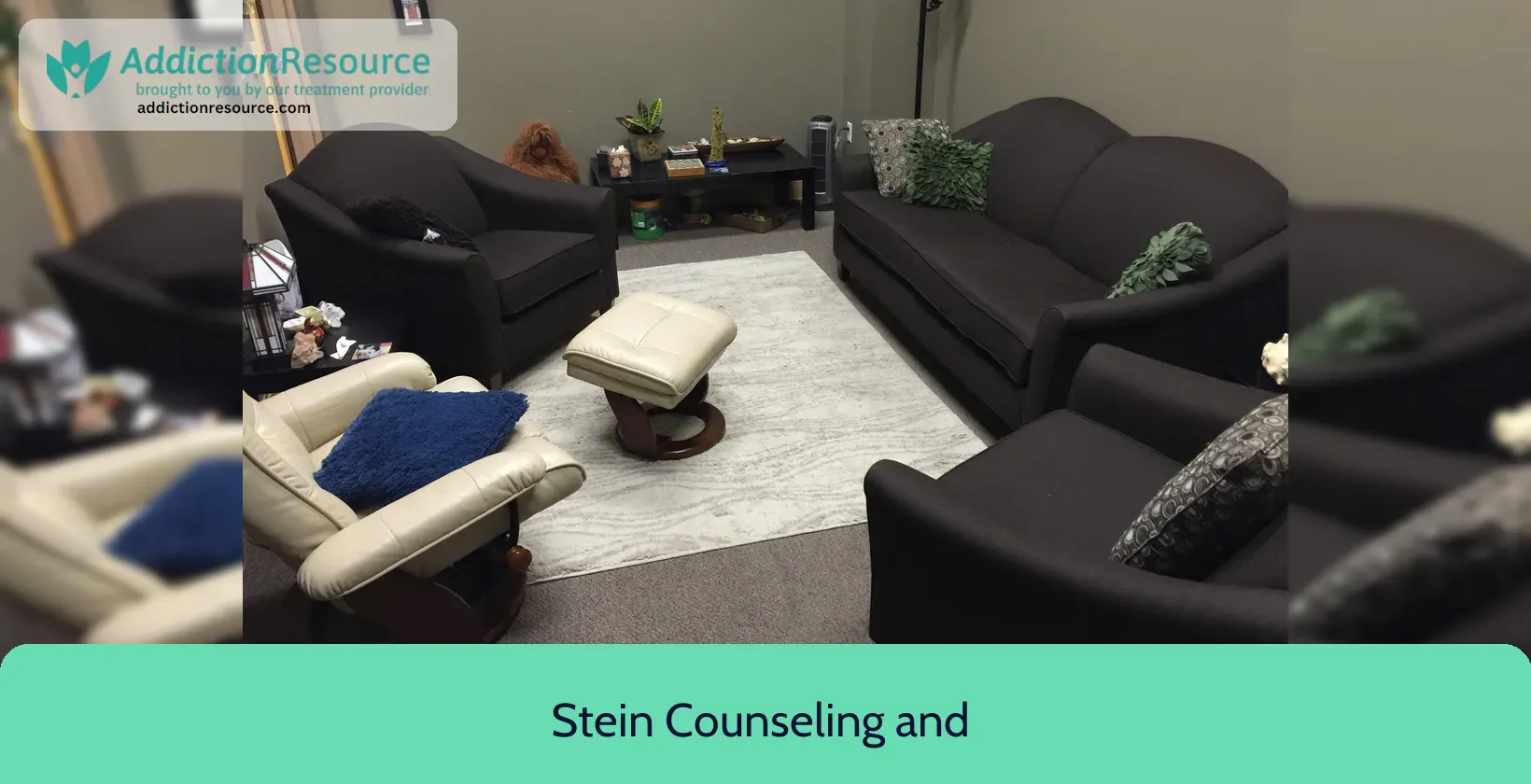 Stein Counseling and Consulting Services – Onalaska, Wisconsin