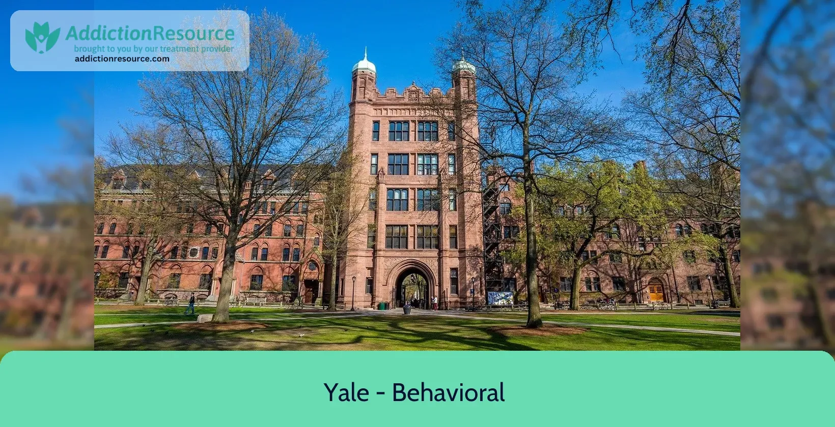 Yale – Behavioral Health Services – New Haven, Connecticut