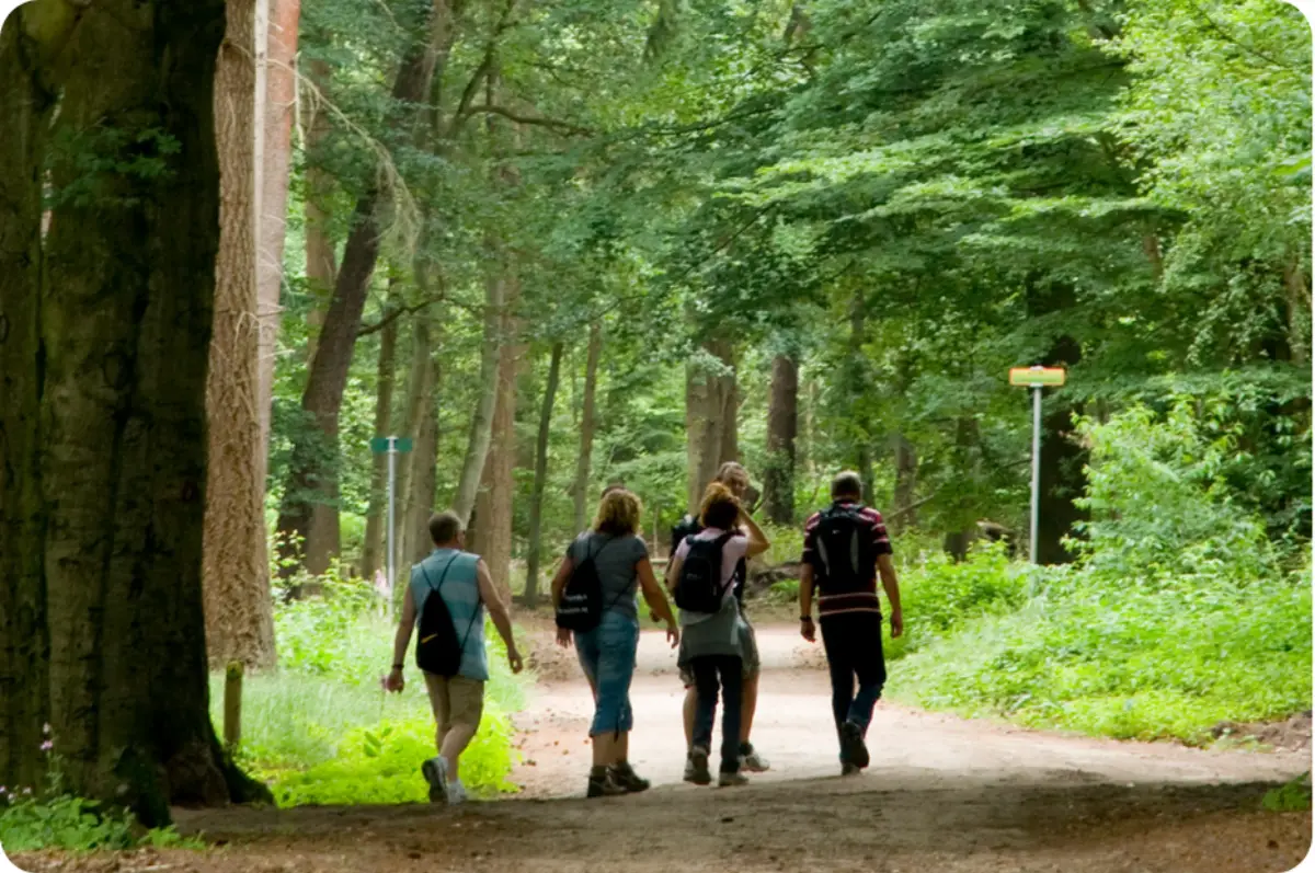 10 Reasons Why You Should Rehab in Nature