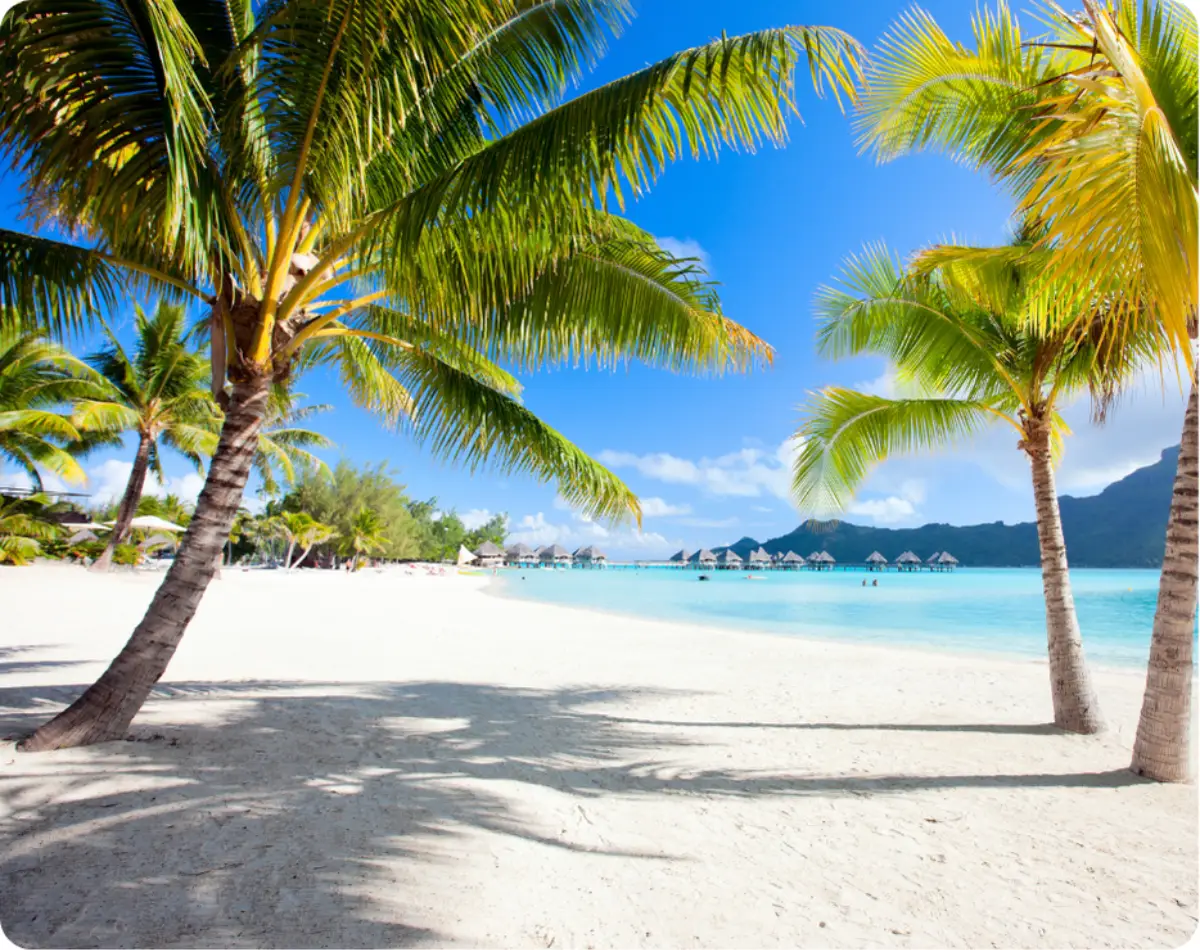 Top 5 Tropical Recovery Destinations in the U.S.