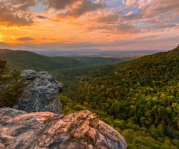 Popular Types of Rehab in Arkansas