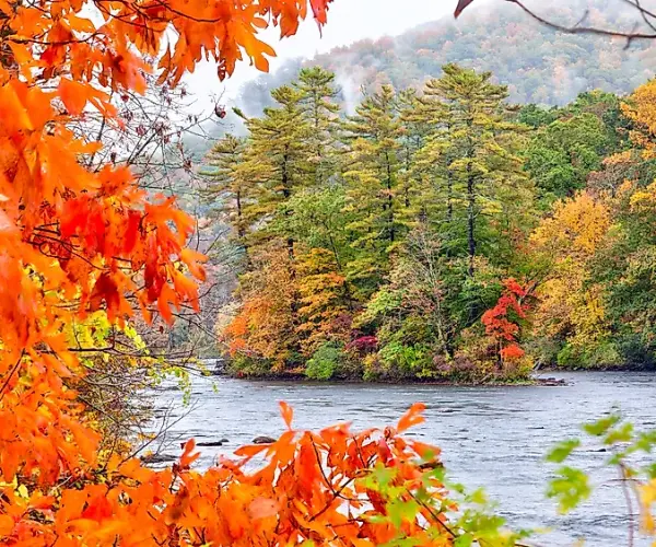 Spotlight Image for Connecticut