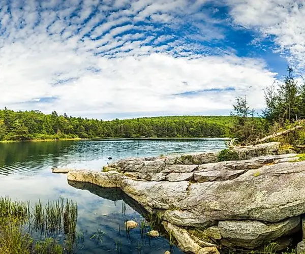 Popular Types of Rehab in Delaware