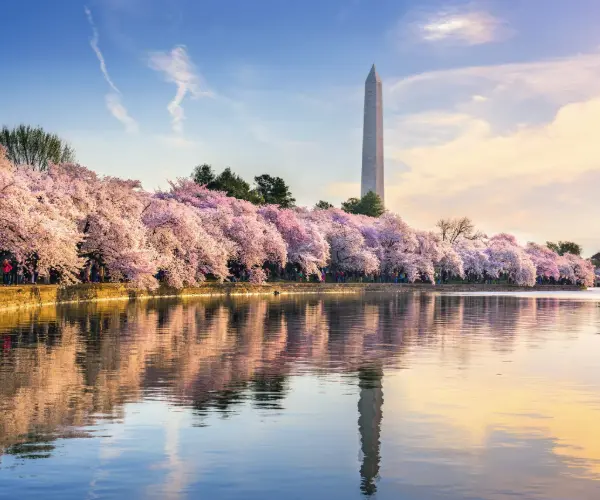 Popular Types of Rehab in District of Columbia