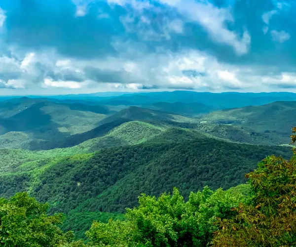 Spotlight Image for Georgia