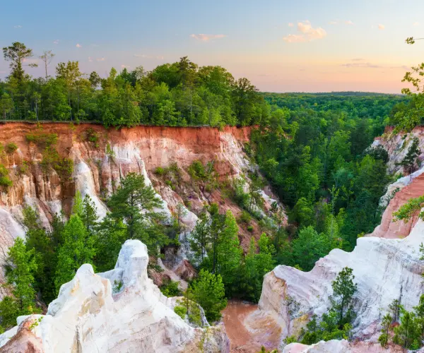 Popular Types of Rehab in Georgia