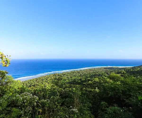 Popular Types of Rehab in Guam