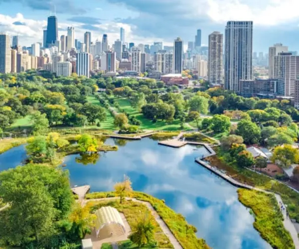 Popular Types of Rehab in Illinois