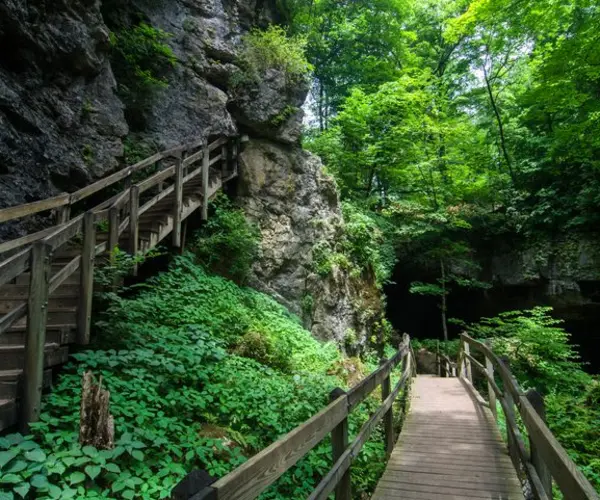 Popular Types of Rehab in Iowa