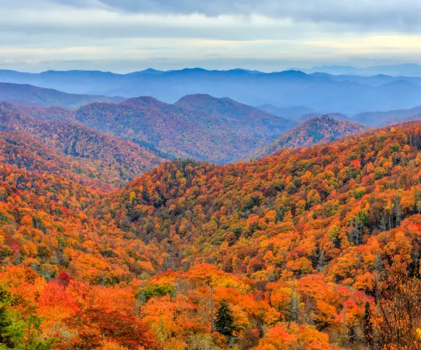Spotlight Image for Kansas
