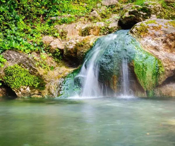 Popular Types of Rehab in Kansas