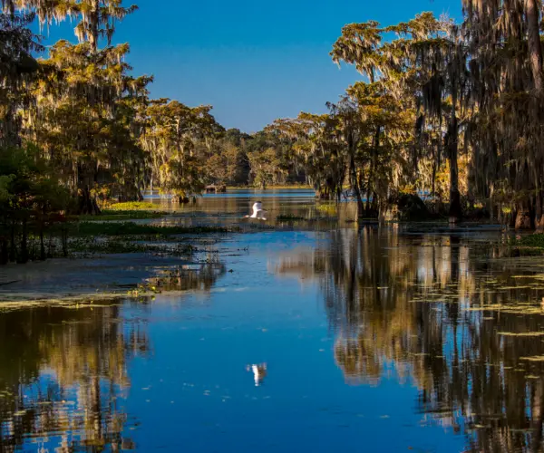 Popular Types of Rehab in Louisiana